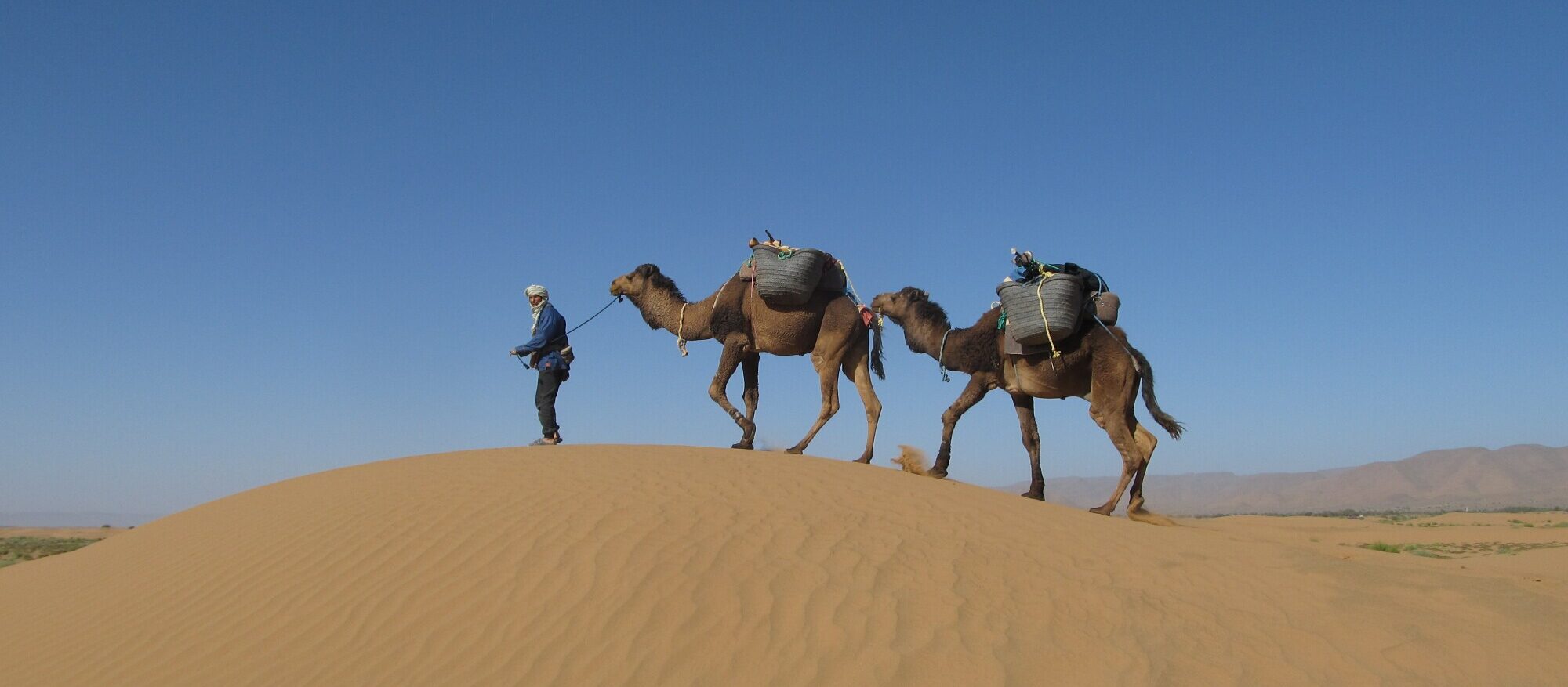 Mijn leven bij de Saharaoui nomaden